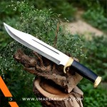 Bowie knife with sharp, curved blade